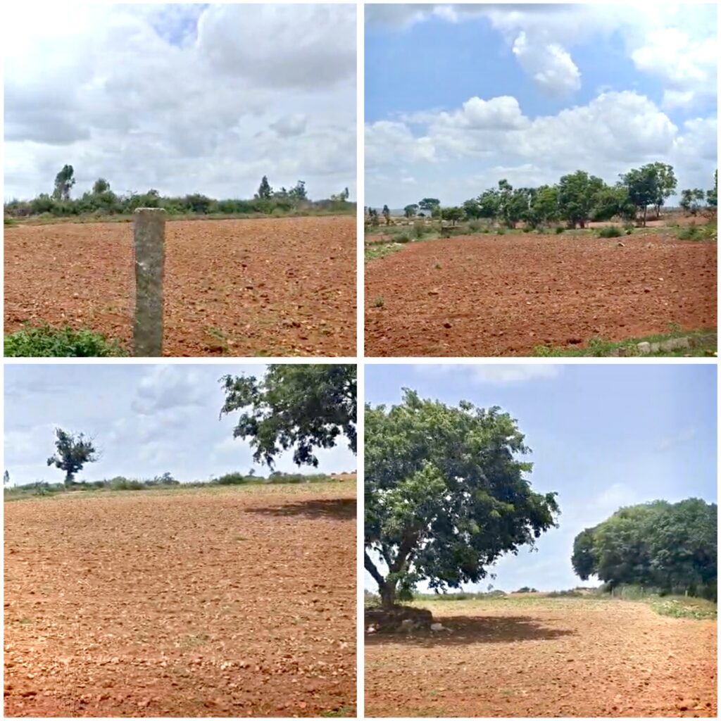 commercial land fiyan