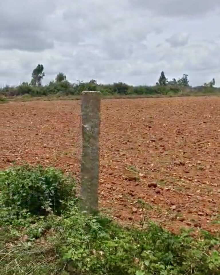 land for sale